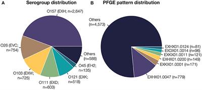 Genome-Enabled Molecular Subtyping and Serotyping for Shiga Toxin-Producing Escherichia coli